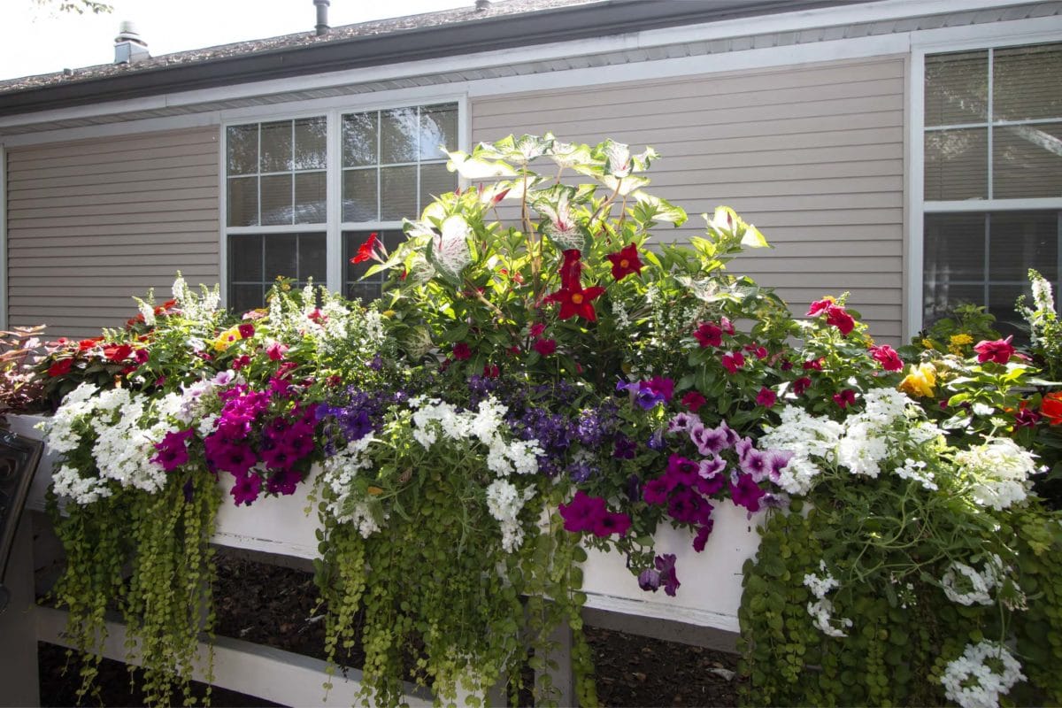 St. Andrew's Assisted Living of Bridgeton Assisted Living