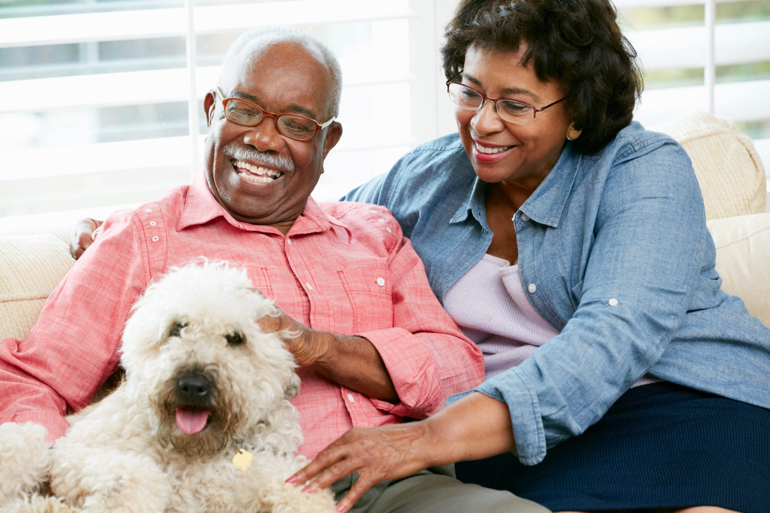 Elderly couple sitting on a white sofa with their large fluffy dog